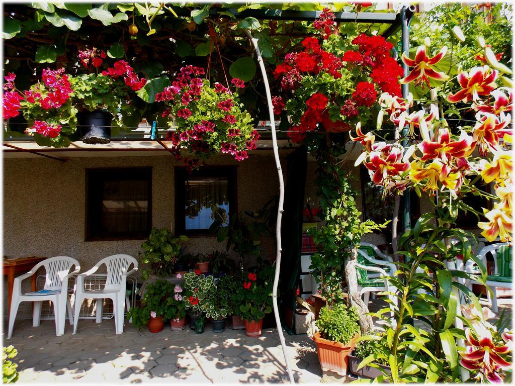Zura Apartments Ohrid Buitenkant foto