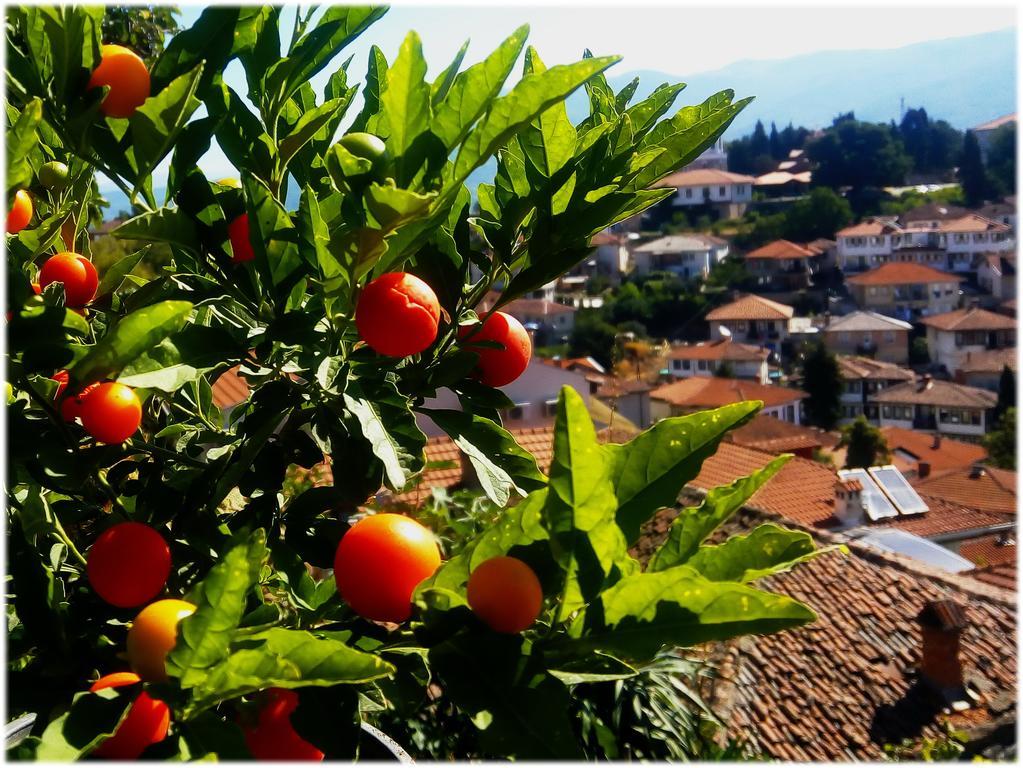 Zura Apartments Ohrid Buitenkant foto